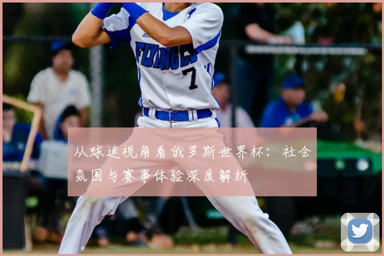 从球迷视角看俄罗斯世界杯：社会氛围与赛事体验深度解析