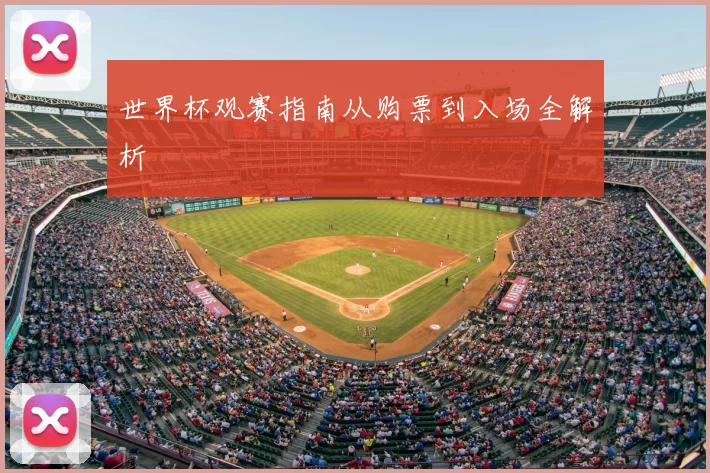 世界杯观赛指南从购票到入场全解析