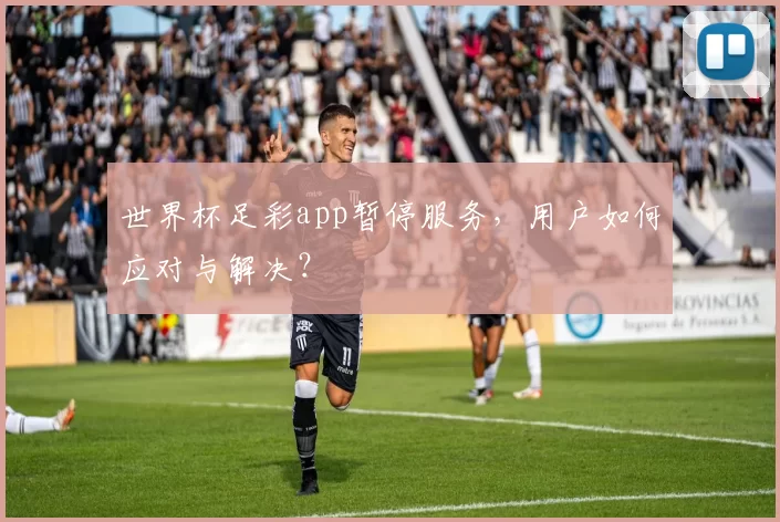 世界杯足彩app暂停服务，用户如何应对与解决？