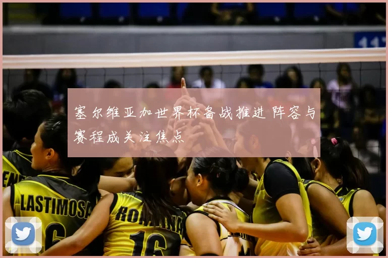 塞尔维亚加世界杯备战推进 阵容与赛程成关注焦点