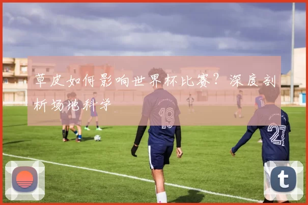 草皮如何影响世界杯比赛？深度剖析场地科学