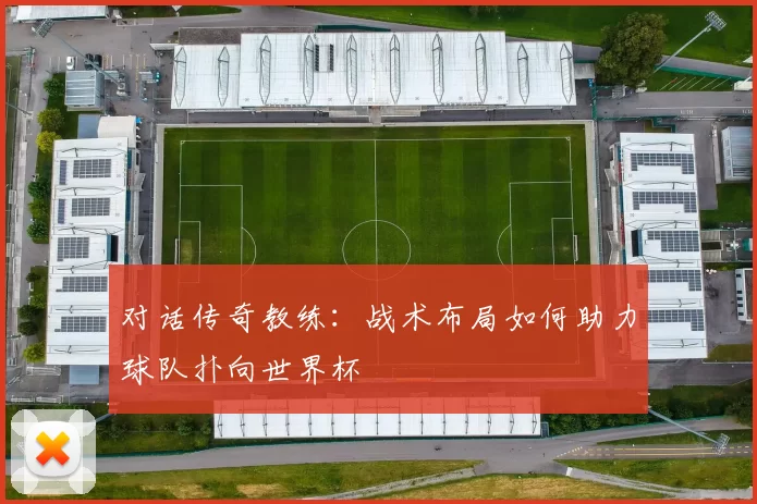 对话传奇教练：战术布局如何助力球队扑向世界杯