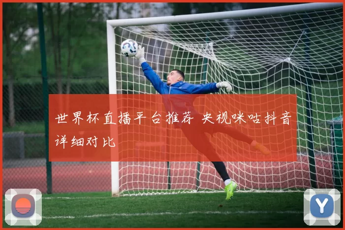 世界杯直播平台推荐 央视咪咕抖音详细对比