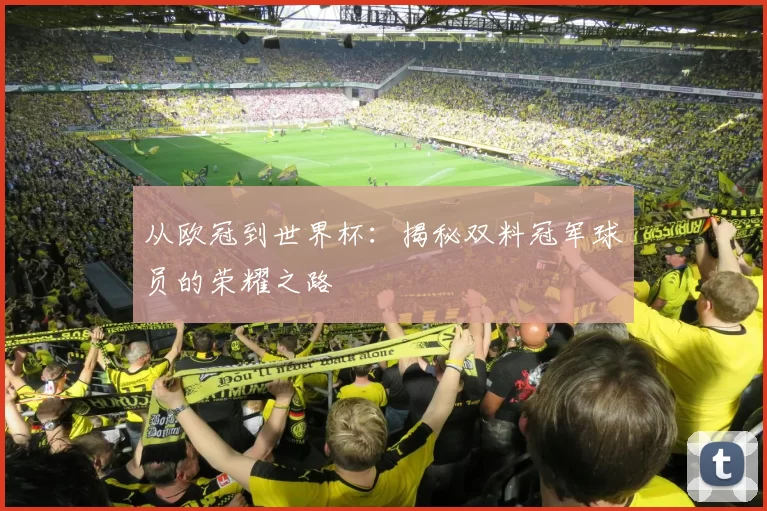 从欧冠到世界杯：揭秘双料冠军球员的荣耀之路
