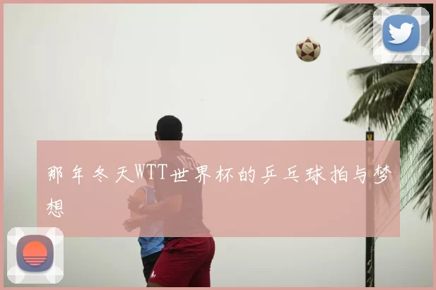 那年冬天WTT世界杯的乒乓球拍与梦想