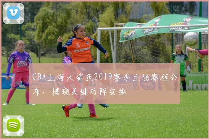 CBA上海大鲨鱼2019赛季主场赛程公布，揭晓关键对阵安排