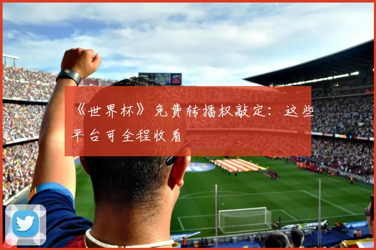 《世界杯》免费转播权敲定:这些平台可全程收看