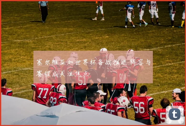 塞尔维亚加世界杯备战推进 阵容与赛程成关注焦点