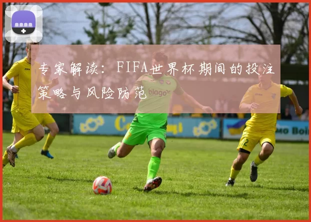 专家解读：FIFA世界杯期间的投注策略与风险防范