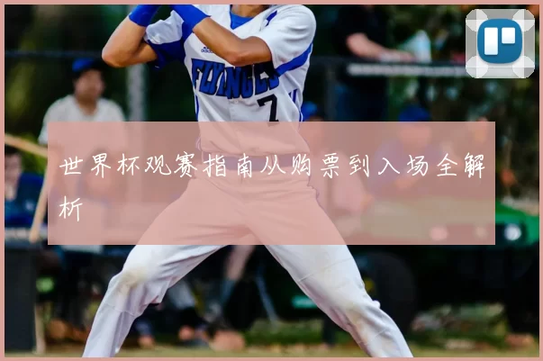 世界杯观赛指南从购票到入场全解析