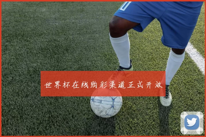 世界杯在线购彩渠道正式开放
