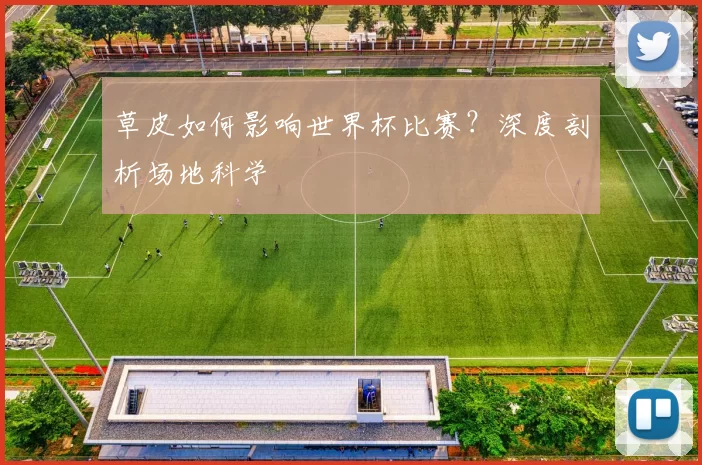 草皮如何影响世界杯比赛？深度剖析场地科学