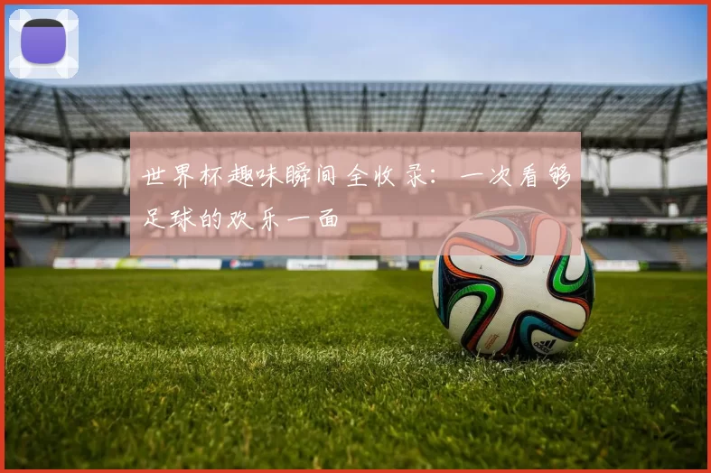 世界杯趣味瞬间全收录：一次看够足球的欢乐一面